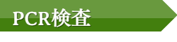 PCR検査について