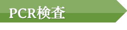 PCR検査について